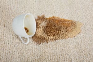 carpet cleaning mn
