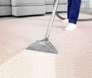 professional carpet cleaners MN